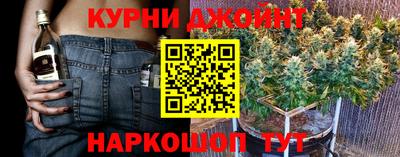 крисы Севастополь