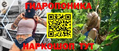 крисы Севастополь