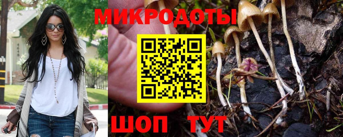 Галлюциногенные грибы MAGIC MUSHROOMS Пушкино