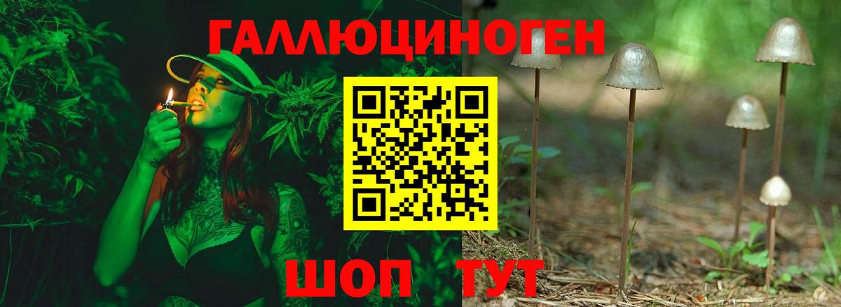 что такое наркотик  Вход с VPN  Галлюциногенные грибы прущие грибы  Пушкино  Галлюциногенные грибы мухоморы 